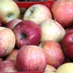 Pomme jonagold 1kg