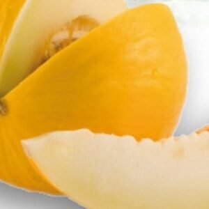 melon jaune miel