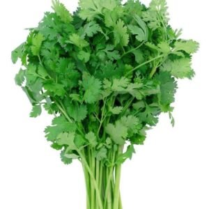 bouquet de coriandre