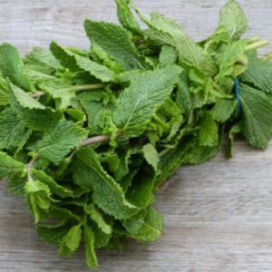 menthe en bouquet