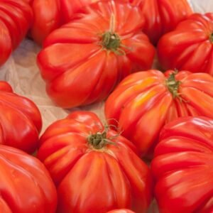 tomate cœur de bœuf 1kg